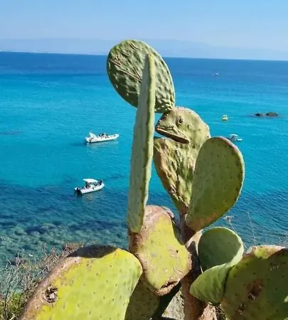 Апартаменты Magik Hill Пиццо