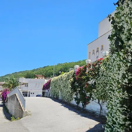 Апартаменты Magik Hill Пиццо